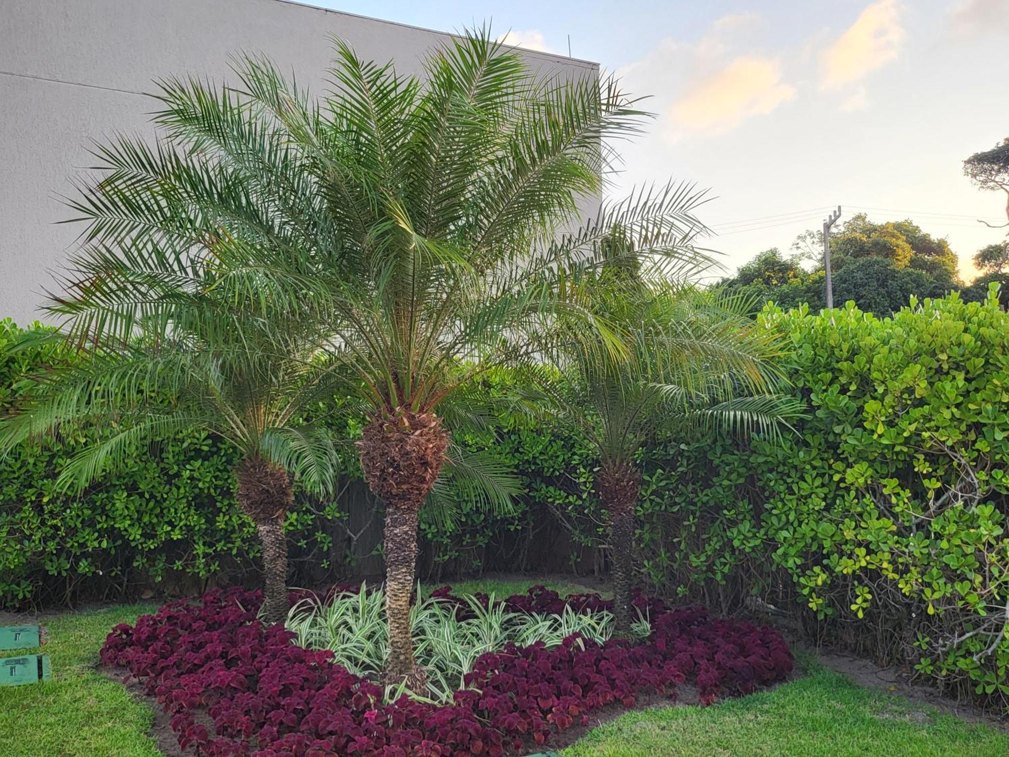 Boutique Ecolife Διαμέρισμα Pôrto das Galinhas Εξωτερικό φωτογραφία